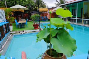 Cali Hill Resort Phu Quoc