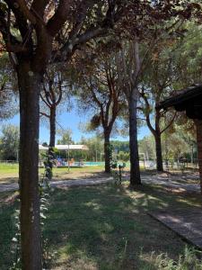 IL BORGO an apartment surrounded by greenery