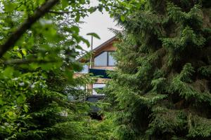 LIRA CHALET by Trei Mandre