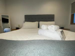 Hotel Molco