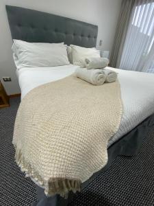 Hotel Molco