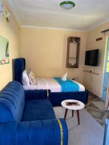 Galaxy apartment