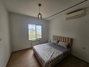 Beautiful Apartment