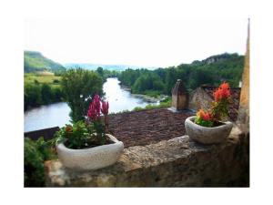 Maisons de vacances Heart of BEYNAC Your typical house with a magical view over river : photos des chambres