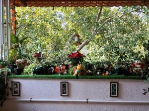 Homestay with Terrace & Garden, Maharashtra
