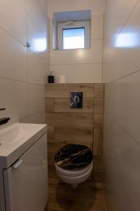 Apartament centrum Chojny