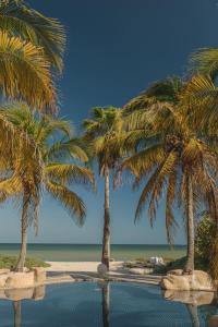 Xay Ha, Frente al mar