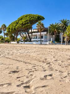 Apartamentos Haus Am Meer
