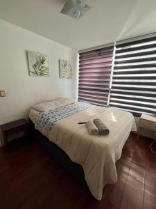 Argomedo con Santa Isabel, Centro Santiago