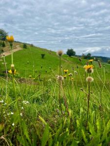 La Vallée ďHágy - Reľov
