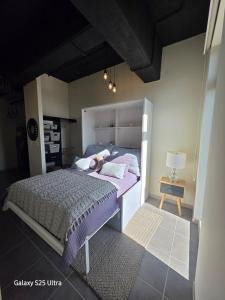 Atractivo y Comodo Apartamento tipo Loft Zona7