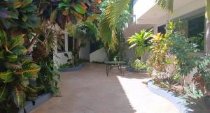 Authentic villa near 5th Avenue