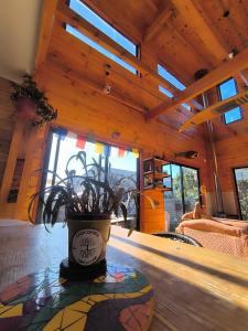 Casacipres Surf&climb Hostal