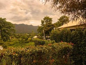 The Vineyard Hideaway Khaoyai