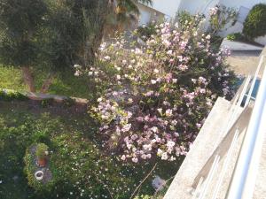 Com o Douro à vista