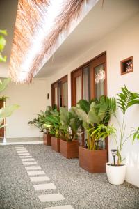 Bienvenue Chez Nous Siargao