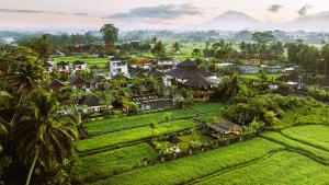 Anumana Village Ubud