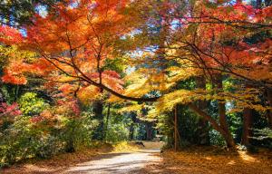アスピア502 7-minute walk from Nishi-Sugamo Station 9-minute walk from Sugamo Station 1-minute walk from Koshinzuka WiFi available