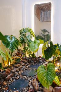 Home Me Staycation & Homestay Buôn Ma Thuột