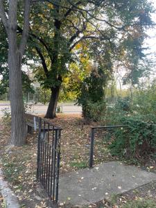 Apartament central cu vedere la parc