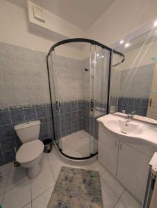 Apartment Beachfront in Siofok-Balaton 58146