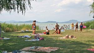 Holiday Home with A - C in Balatonfenyves 58333