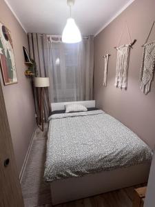 Comfortable apartment in the center of Kielce