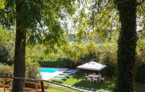 Awesome Apartment In Poggibonsi With Outdoor Swimming Pool