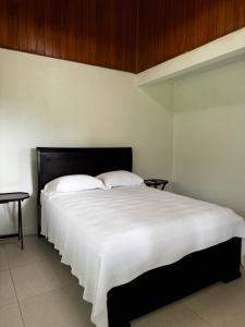 Bed and Breakfast Mi Finca