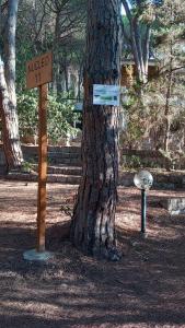 Pinna1 - Appartamento in villetta in pineta - Natura, relax e mare! IUN R4823