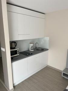 Apartament studio Czarna Góra I