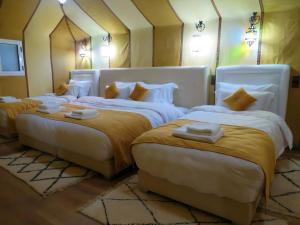 Sahara Authentic Luxury Camp