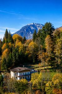 La Casa di Anna nel Parco delle Dolomiti Croce d Aune 1000 ml slm