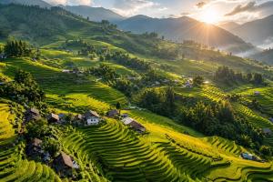 Surelee Homestay & Sapa Trekking Tours by Local Path