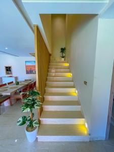 Faz villa