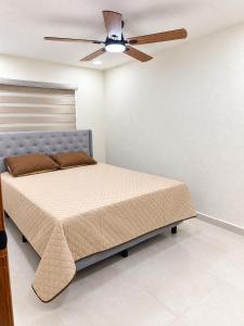 Apartamentos Kennedy Nogales