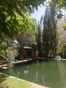 Pisco Elqui Cabana