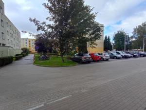 Słoneczne studio z balkonem i darmowym parkingiem