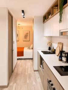Cóndor Urban Loft, Parque Almagro