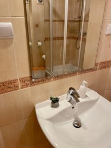 Kraków - Beautiful apartment with underground garage