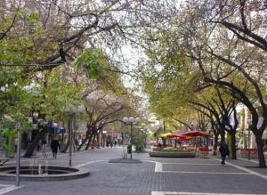 Departamento céntrico en Mendoza