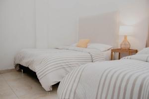 Comfortable apartment in the historic center