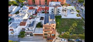 Loft Sabalo - Pet Friendly
