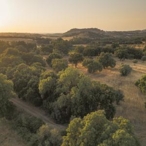 Gandum Village - Conscious Boutique Hotel