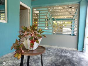 Refugio campestre en Bonao con amplio jardín