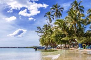 Sol & Palma Tropical Chic in Boca Chica
