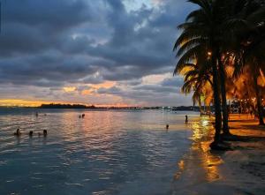 Sol & Palma Tropical Chic in Boca Chica