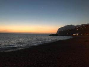 Charming Apartment 101