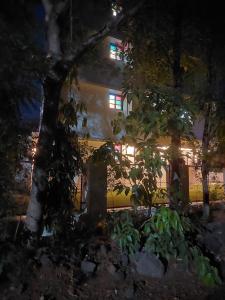Aliporewala Meadows