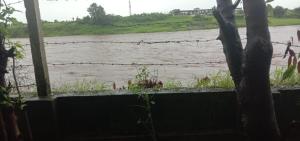 Aliporewala Meadows